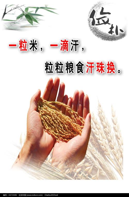 购买九州营养福祉大学毕业证